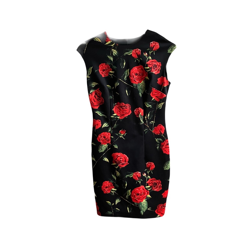 Alexia Admor Scuba Sheath Dress Size S Red Roses Bodycon Valentine’s Day Floral